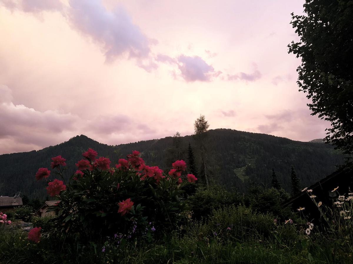 Bed and Breakfast le castor Morgins Esterno foto