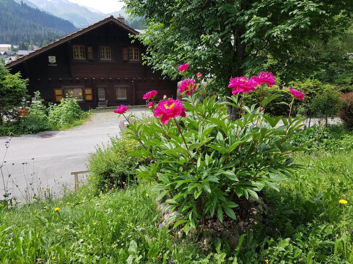 Bed and Breakfast le castor Morgins Esterno foto